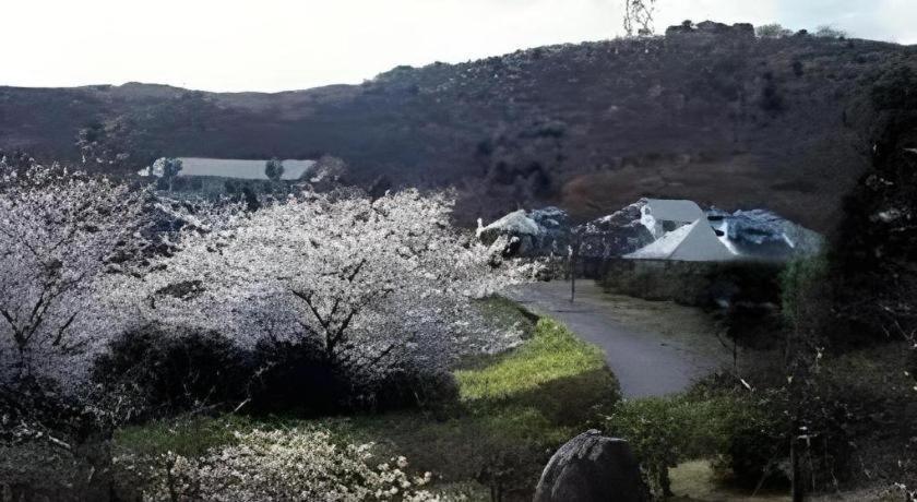 Izu Inatori Sports Villa Exterior photo